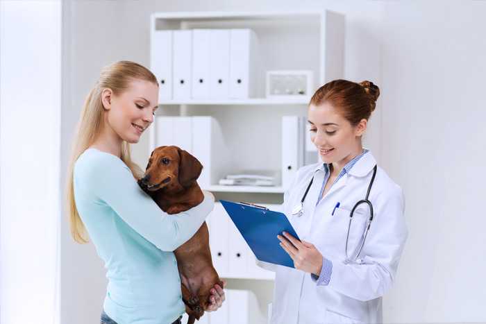 ЭЦП для оформления ветеринарных сертификатов (ГИС Меркурий) в Белебее